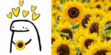¿Cuál es el significado de que te regalen flores amarillas este 21 de marzo?