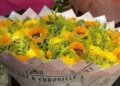 ¿Cuáles son las mejores flores amarillas para regalar el 21 de marzo?