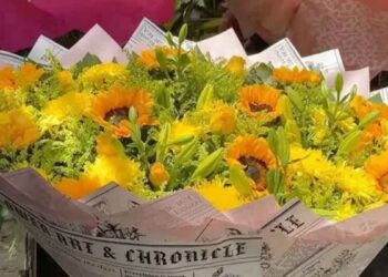 ¿Cuáles son las mejores flores amarillas para regalar el 21 de marzo?