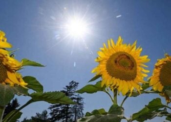 ¿Cuándo y a qué hora inicia oficialmente el Equinoccio de Primavera 2026 en México?