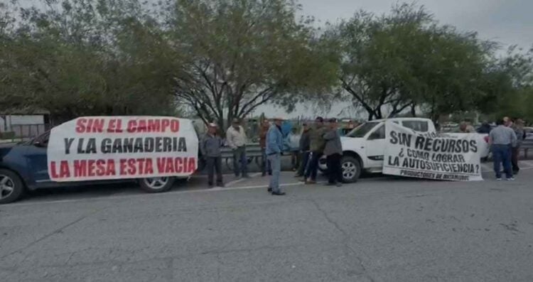 Productores Matamoros - Reynosa