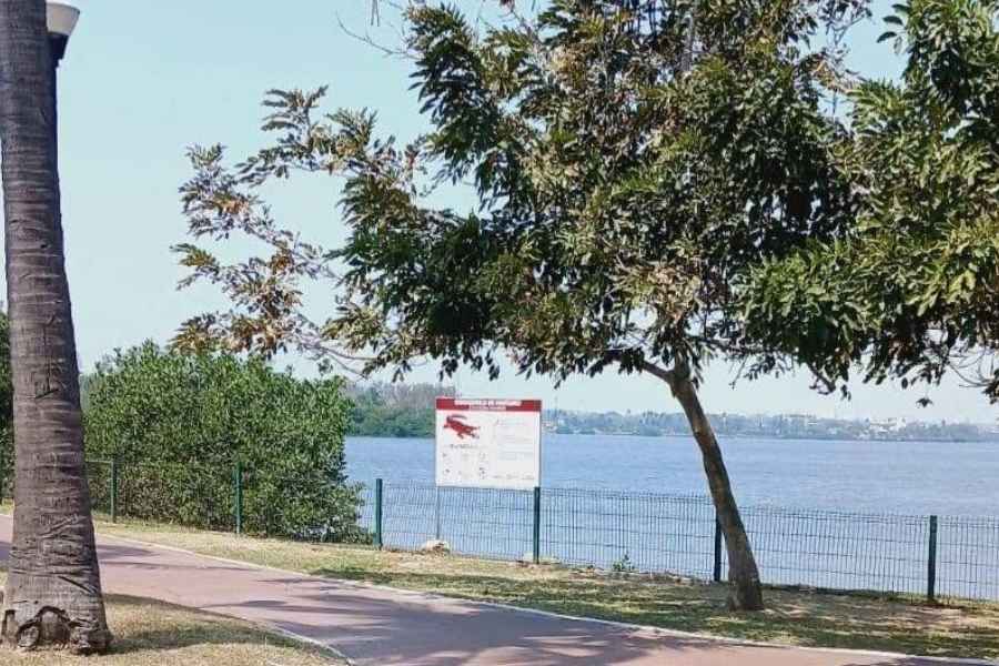 Autoridades de Tampico, Tamaulipas, piden extremar precauciones en la Laguna del Carpintero por cocodrilos