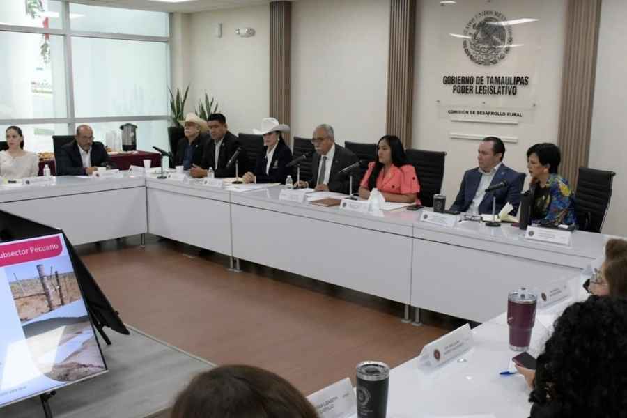 Antonio Varela Flores avances