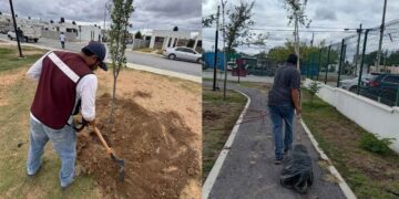 Avanzan acciones de reforestación en áreas verdes de Nuevo Laredo, Tamaulipas