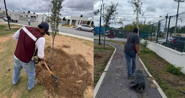 Avanzan acciones de reforestación en áreas verdes de Nuevo Laredo, Tamaulipas