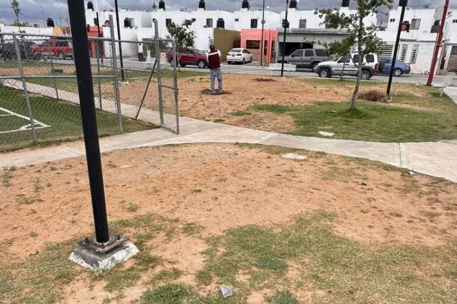 Avanzan acciones de reforestación en áreas verdes de Nuevo Laredo, Tamaulipas
