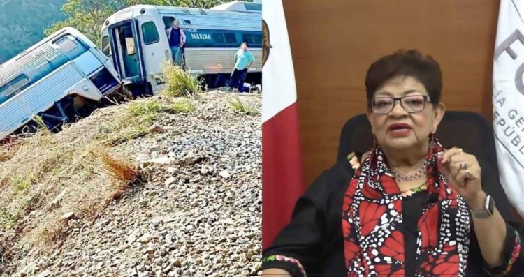 Ernestina Godoy Tren Interoceánico