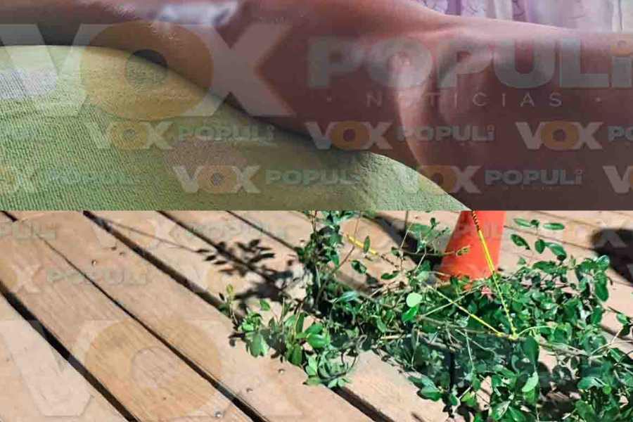 Colapsa tabla en puente de la Laguna del Carpintero y deja a una mujer lesionada en Tampico, Tamaulipas