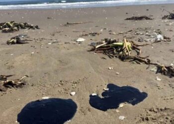 PAN derrame Golfo de México