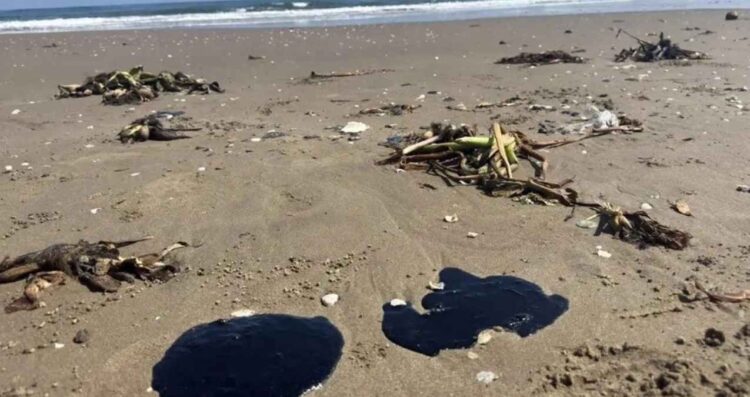 PAN derrame Golfo de México