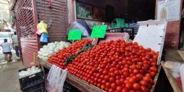 precios productos Tamaulipas