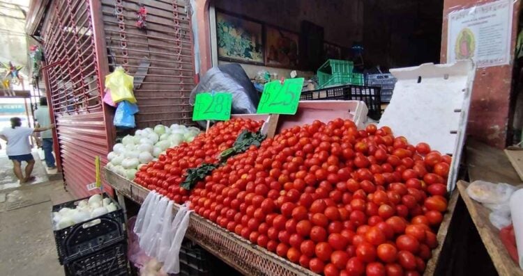 precios productos Tamaulipas