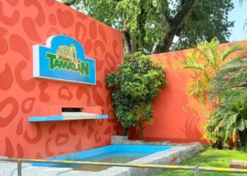Día del Niño Tamaulipas 2026