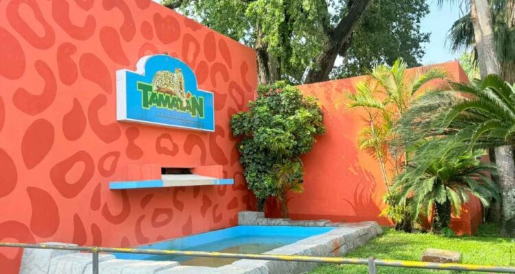 Día del Niño Tamaulipas 2026