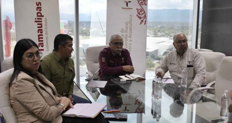 Estructura Tamaulipas proyecto para elevar la producción de carne de calidad