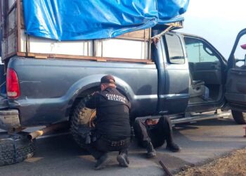 Guardia Estatal paseantes en Tamaulipas
