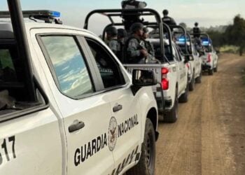 Guardia Nacional asegura 49 kilos de marihuana y vehículos en Taxco, Guerrero