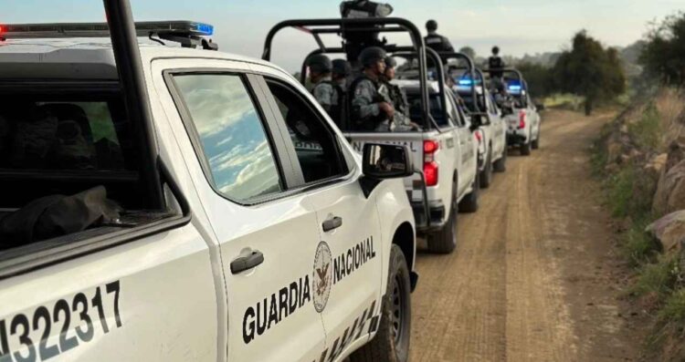 Guardia Nacional asegura 49 kilos de marihuana y vehículos en Taxco, Guerrero