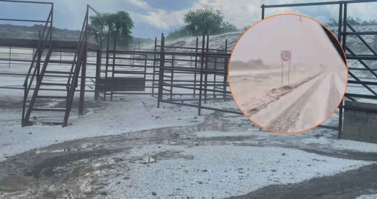 granizo Doctor Arroyo