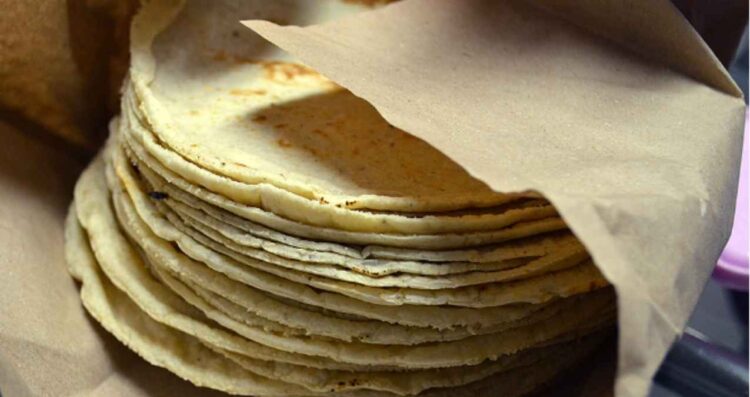 Profeco tortilla supervisión