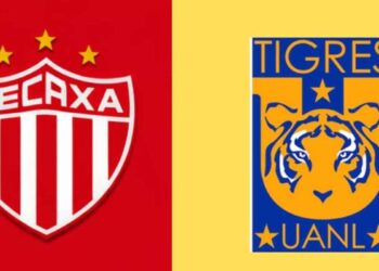 Liga MX ¿A qué hora y dónde ver Necaxa vs Tigres en la Jornada 15 del Clausura 2026