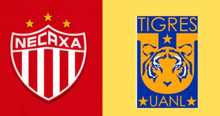 Liga MX ¿A qué hora y dónde ver Necaxa vs Tigres en la Jornada 15 del Clausura 2026