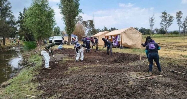 Localizan 317 restos óseos en Lago de Chalco, Ciudad de México