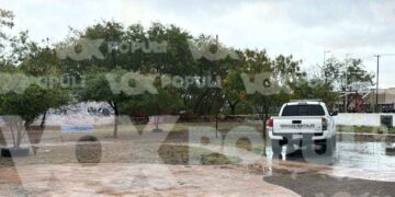 Localizan a hombre sin vida en predio de Reynosa, Tamaulipas