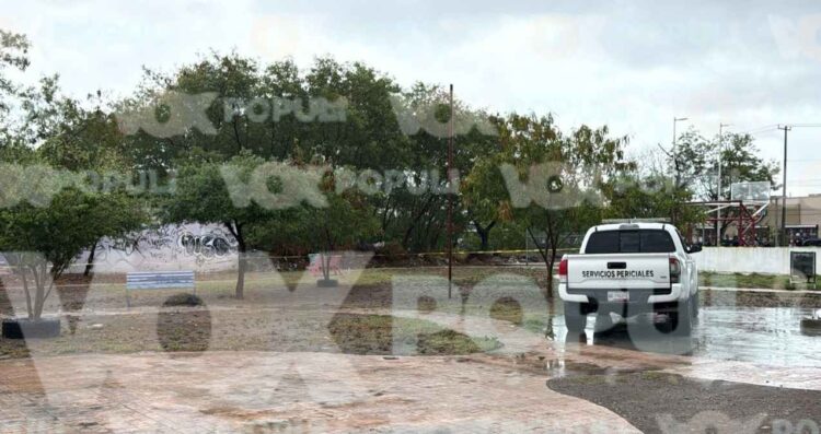 Localizan a hombre sin vida en predio de Reynosa, Tamaulipas