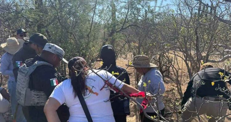 Localizan cinco fosas clandestinas en La Paz, Baja California Sur