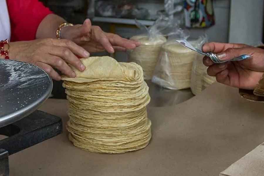 Magdalena Peraza llama a no subir el precio de la tortilla en Tampico, Tamaulipas
