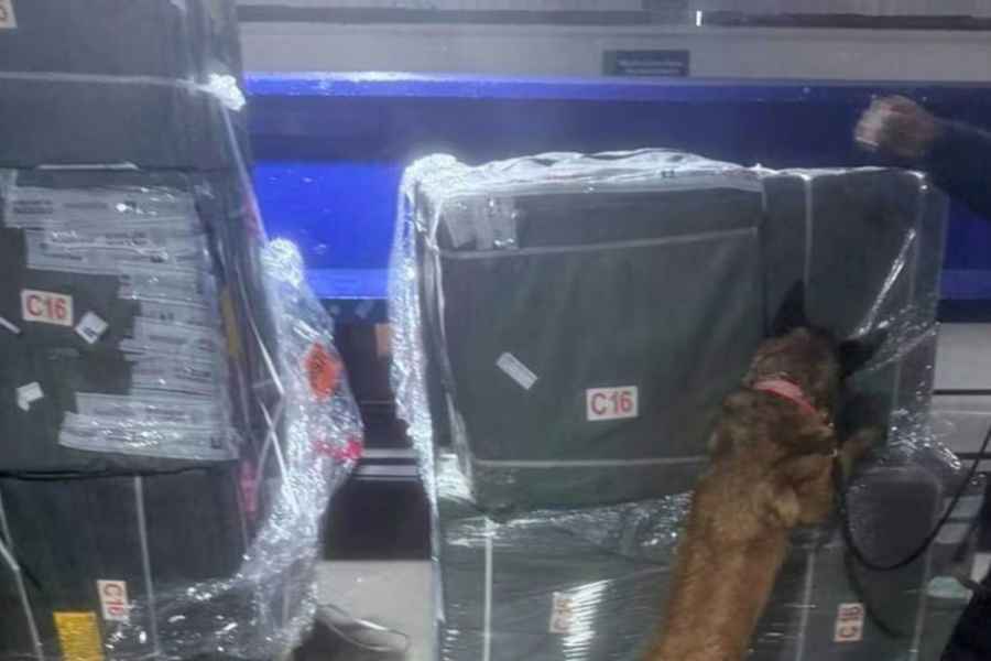 Marina intercepta 848 mil cigarrillos ilegales en el AICM de Ciudad de México