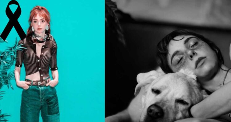 Natalia Téllez despide a su perrito “Güero” con emotivo mensaje