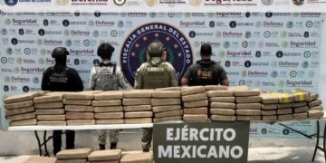 Operativo coordinado asegura más de 590 kilos de marihuana en Acapulco, Guerrero