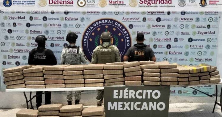 Operativo coordinado asegura más de 590 kilos de marihuana en Acapulco, Guerrero