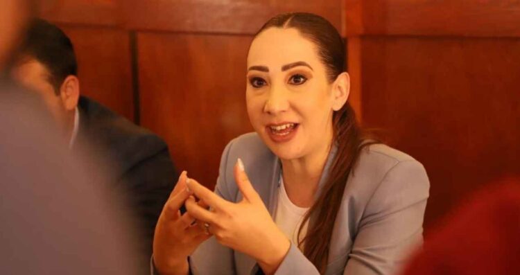 PAN desaparición forzada