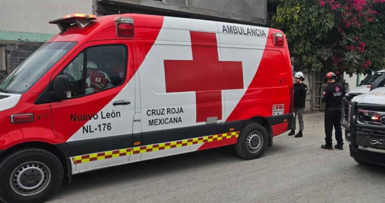 Perros atacan a un hombre mientras dormía y lo dejan herido en Monterrey, NL