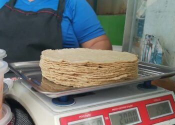 Prevén aumento en el precio de la tortilla en México