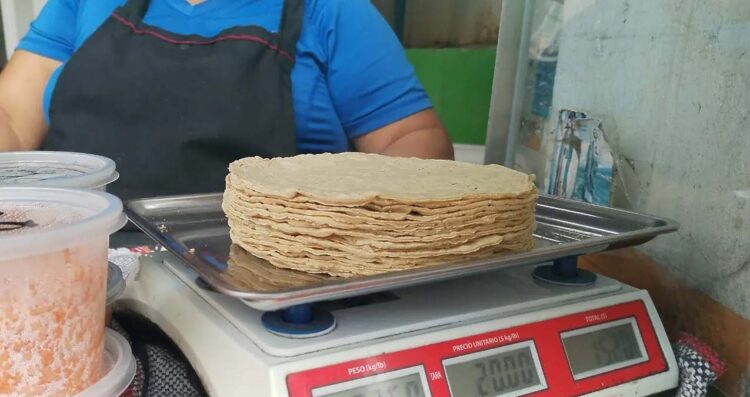 Prevén aumento en el precio de la tortilla en México