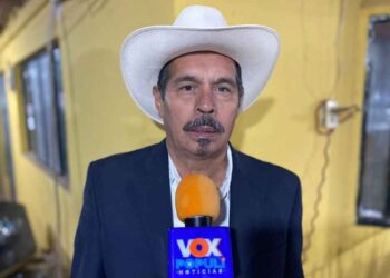 Productores de naranja en Tamaulipas denuncian competencia desleal y desplome de precios
