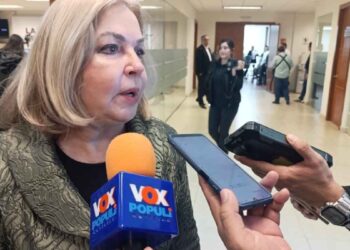 Tamaulipas paneles solares
