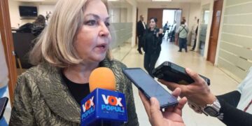 Tamaulipas paneles solares