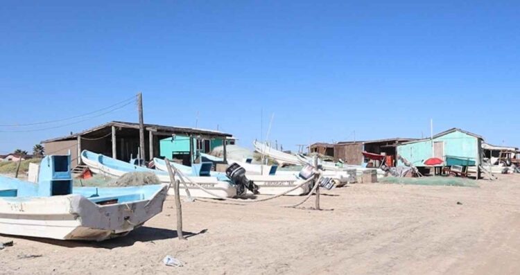 Repunta la pesca de camarón en la laguna Madre de Matamoros, Tamaulipas