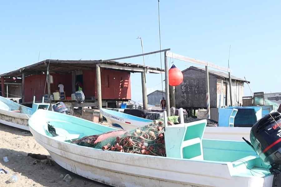 Repunta la pesca de camarón en la laguna Madre de Matamoros, Tamaulipas