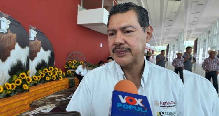 Tamaulipas control del HLB