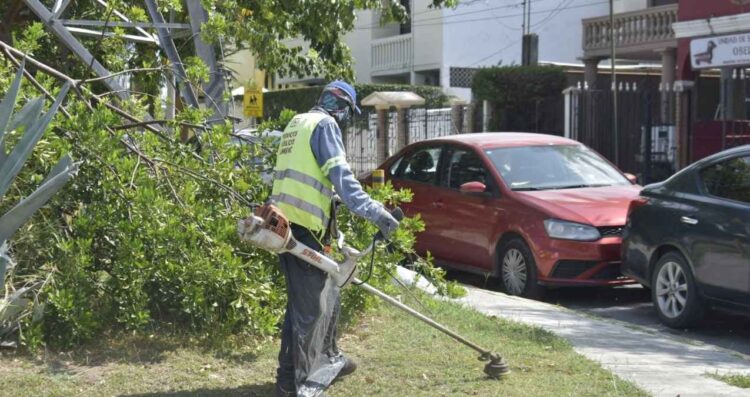 Tampico acciones de limpieza