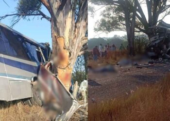 Trágico accidente en la carretera 310 de Amealco, Querétaro, deja sin vida a 9 personas