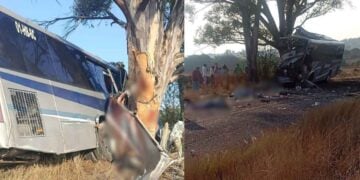 Trágico accidente en la carretera 310 de Amealco, Querétaro, deja sin vida a 9 personas