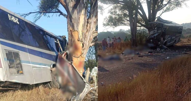 Trágico accidente en la carretera 310 de Amealco, Querétaro, deja sin vida a 9 personas