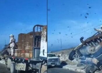 VIDEO: Vuelca camión con abejas en carretera Doctor Arroyo a Linares, Nuevo León